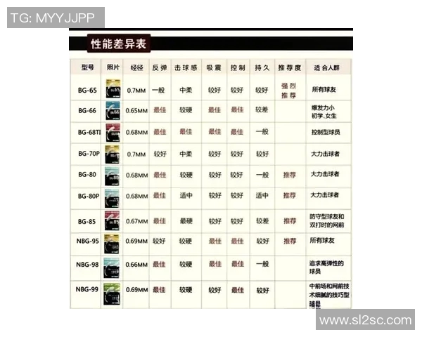 南京羽毛球队引领最新羽毛球技术十强榜单解析与展望